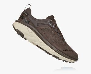 Hoka Challenger Low GORE-TEX Wide Men's Trail Running Shoes Brown | TQZJ-52783